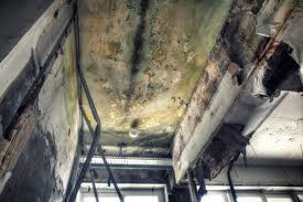 Best Mold Removal for HVAC Installations in Hudson, PA